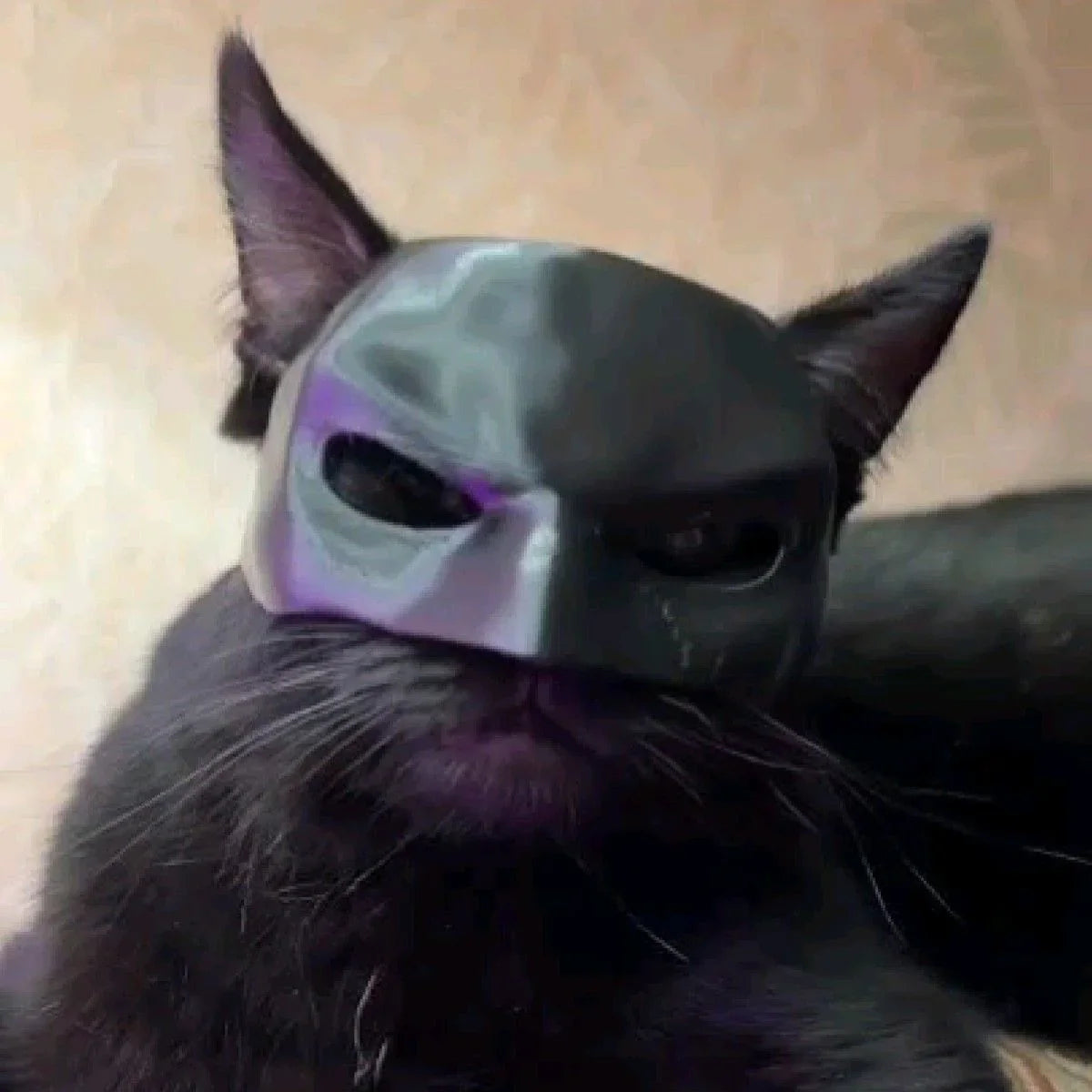 Kediler İçin Batman Maskesi