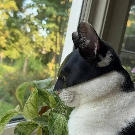 Kediler İçin Batman Maskesi