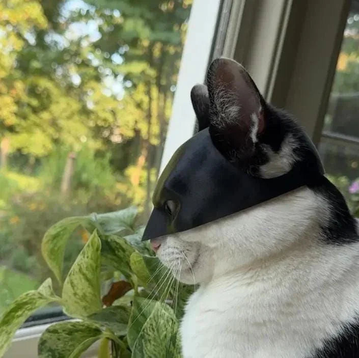 Kediler İçin Batman Maskesi