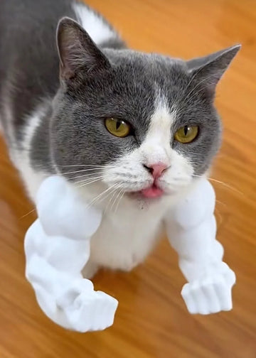 Kedi Hulk Kolları Kostümü – Kaslı Kol Aksesuarı