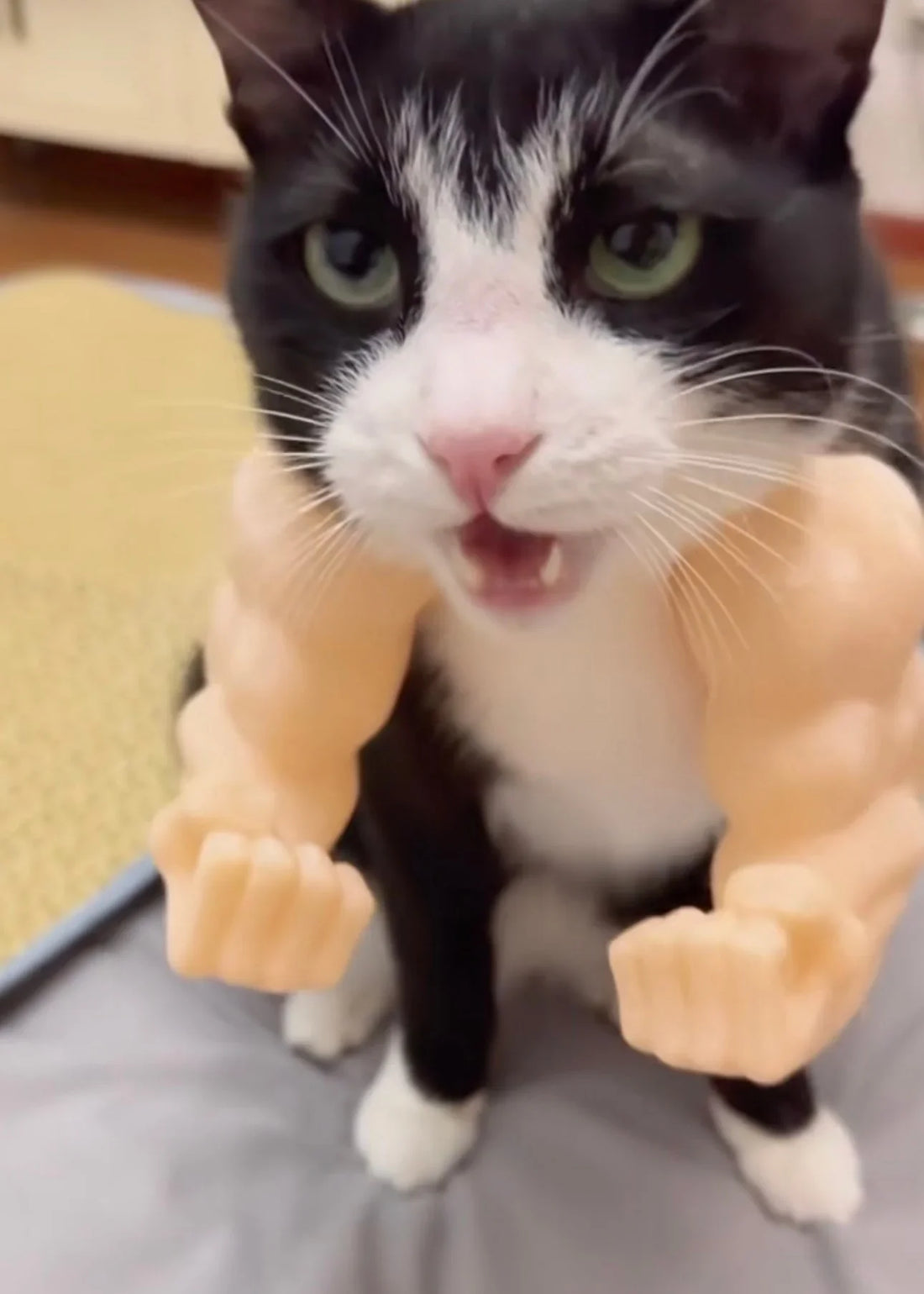 Kedi Hulk Kolları Kostümü – Kaslı Kol Aksesuarı