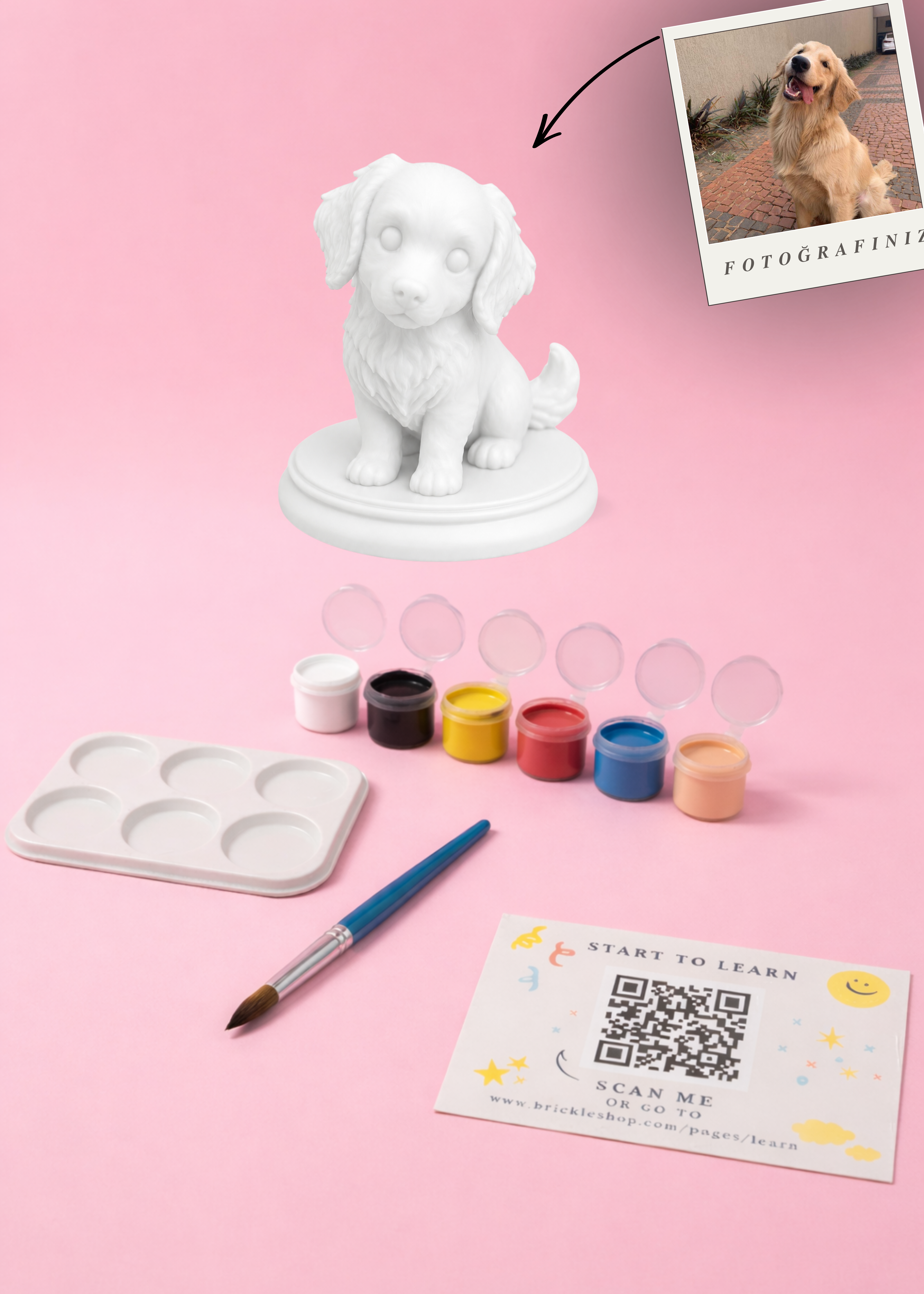 Evcil Hayvan Özel MiniMe - 3D Figür Boyama Seti
