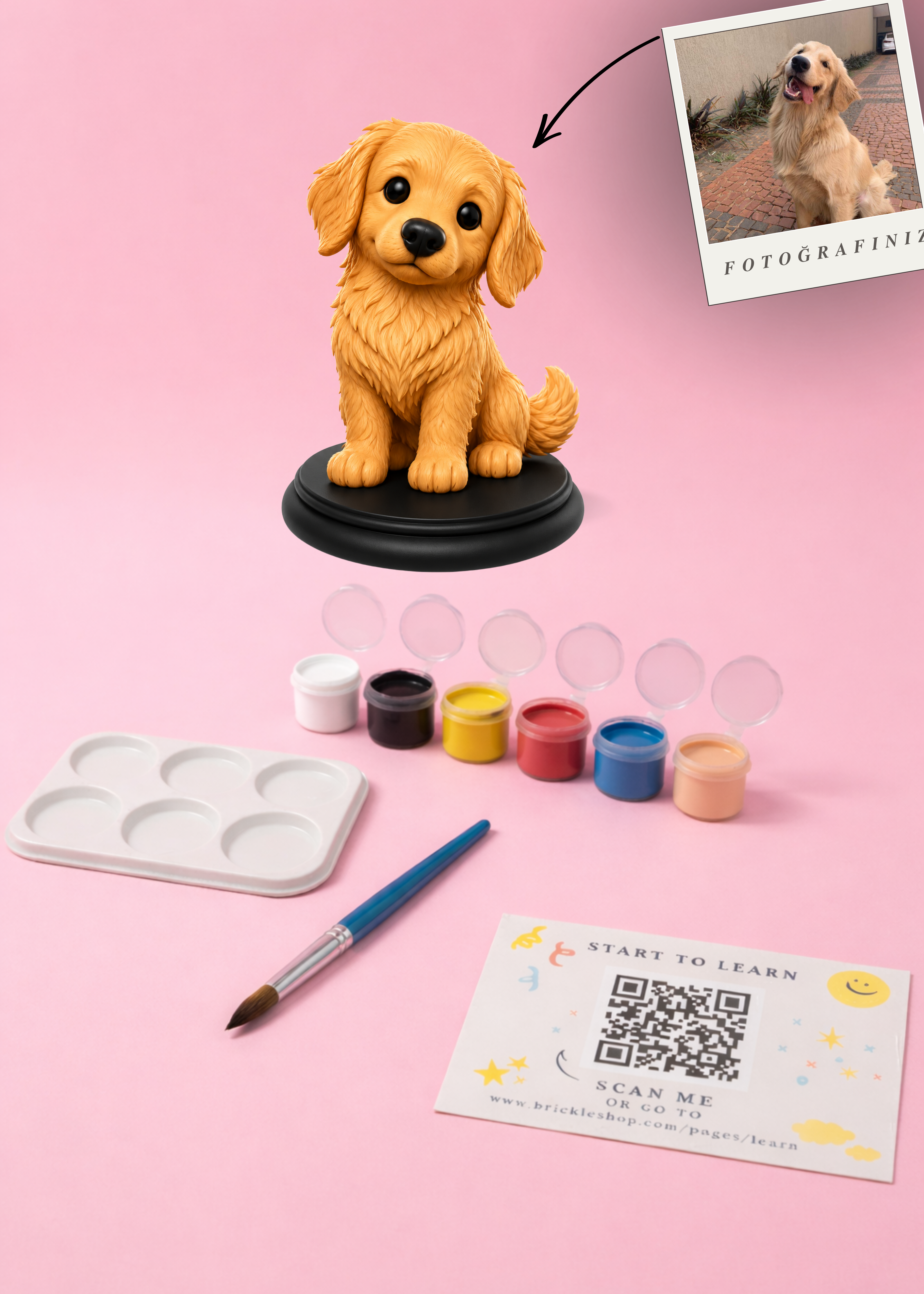 Evcil Hayvan Özel MiniMe - 3D Figür Boyama Seti